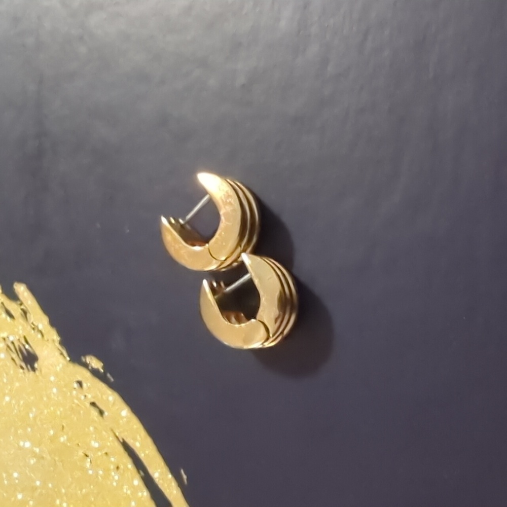 Jenny Bird Gold Tone Hoop Earrings